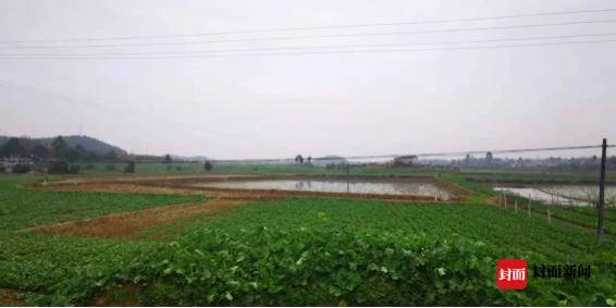 旅游开发、挖塘养鱼……四川公安发布5起非法占用耕地典型案例(图1)