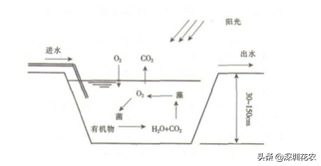 国家湿地水环境污染控制指南项目（一）(图4)
