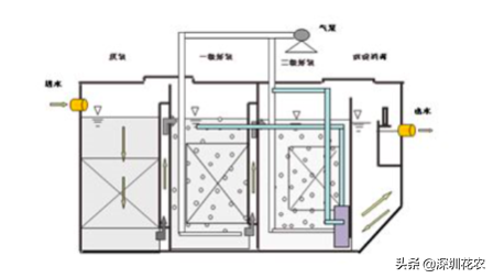 国家湿地水环境污染控制指南项目（一）(图5)