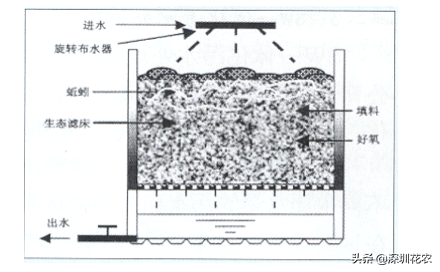 国家湿地水环境污染控制指南项目（一）(图16)