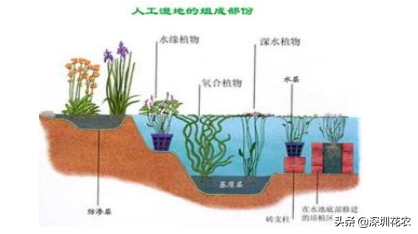 国家湿地水环境污染控制指南项目（一）(图14)