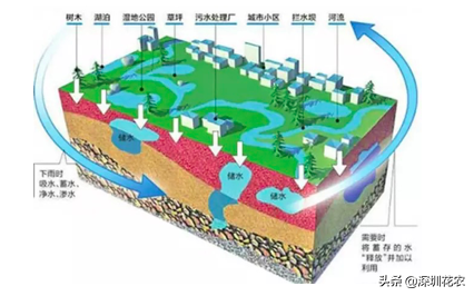 国家湿地水环境污染控制指南项目（一）(图18)