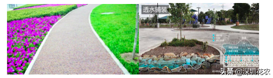 国家湿地水环境污染控制指南项目（一）(图19)