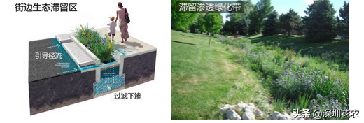 国家湿地水环境污染控制指南项目（一）(图21)