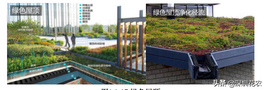 国家湿地水环境污染控制指南项目（一）(图20)