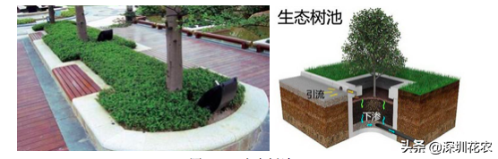 国家湿地水环境污染控制指南项目（一）(图23)