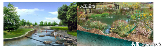 国家湿地水环境污染控制指南项目（一）(图24)