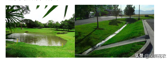 国家湿地水环境污染控制指南项目（一）(图26)