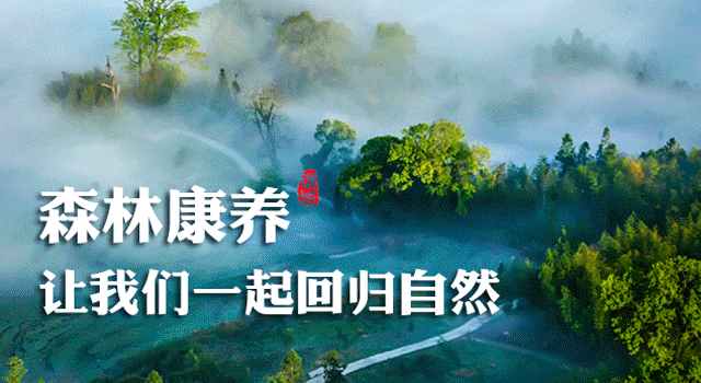 将乐县获评全国“两山”实践创新基地(图8)