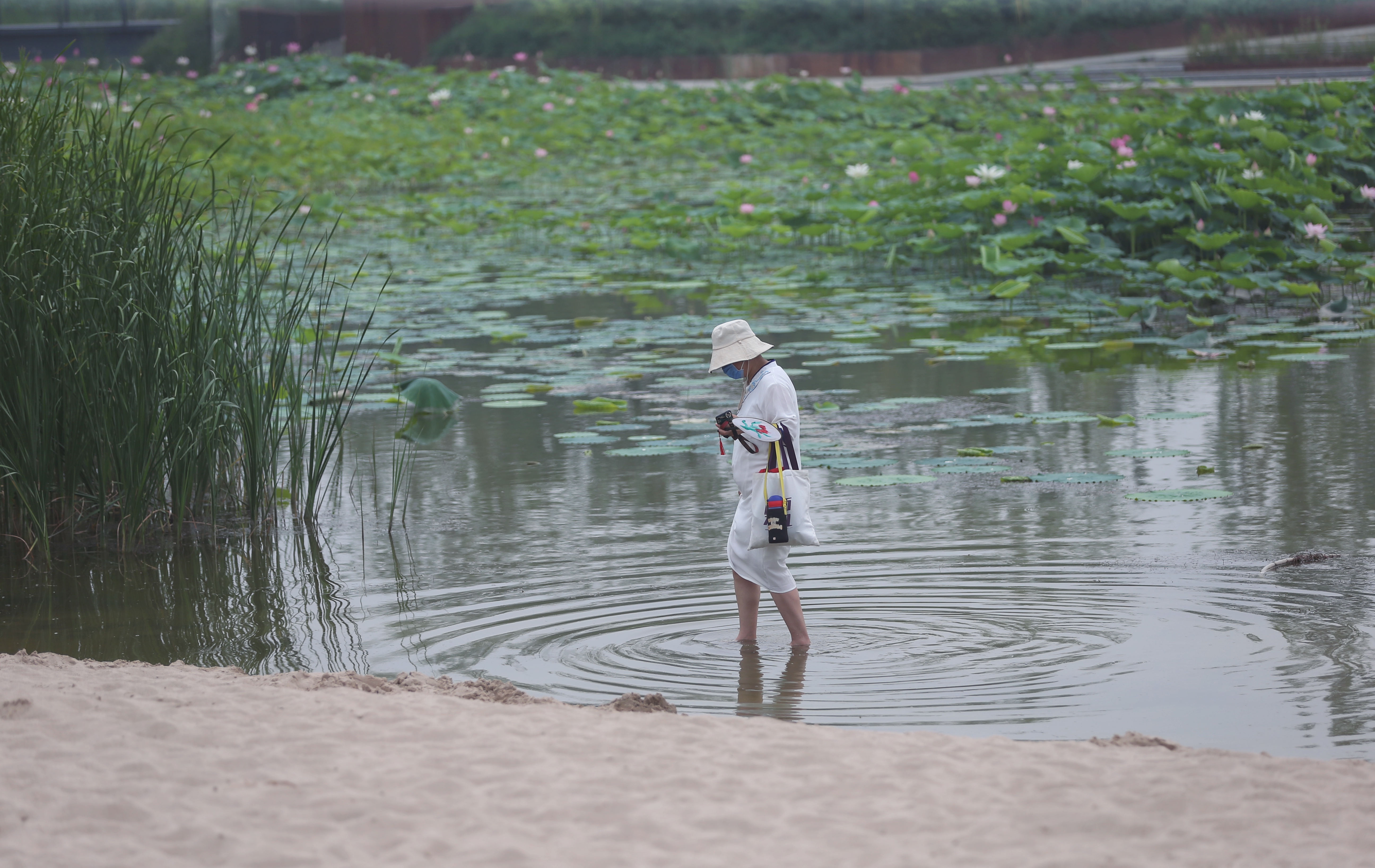 新一轮百万亩造林收官，林海书写北京“生态答卷”(图1)