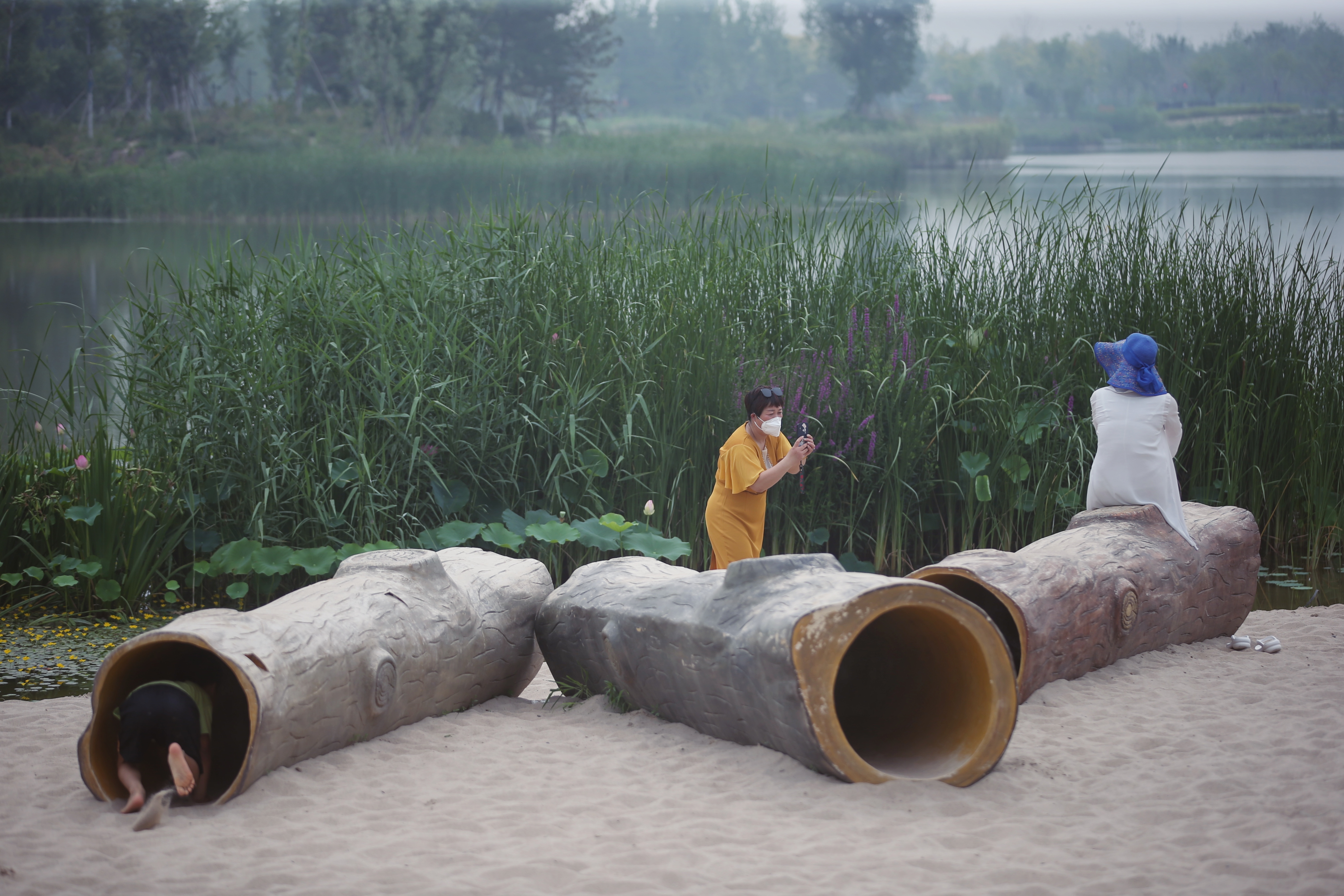 新一轮百万亩造林收官，林海书写北京“生态答卷”(图2)