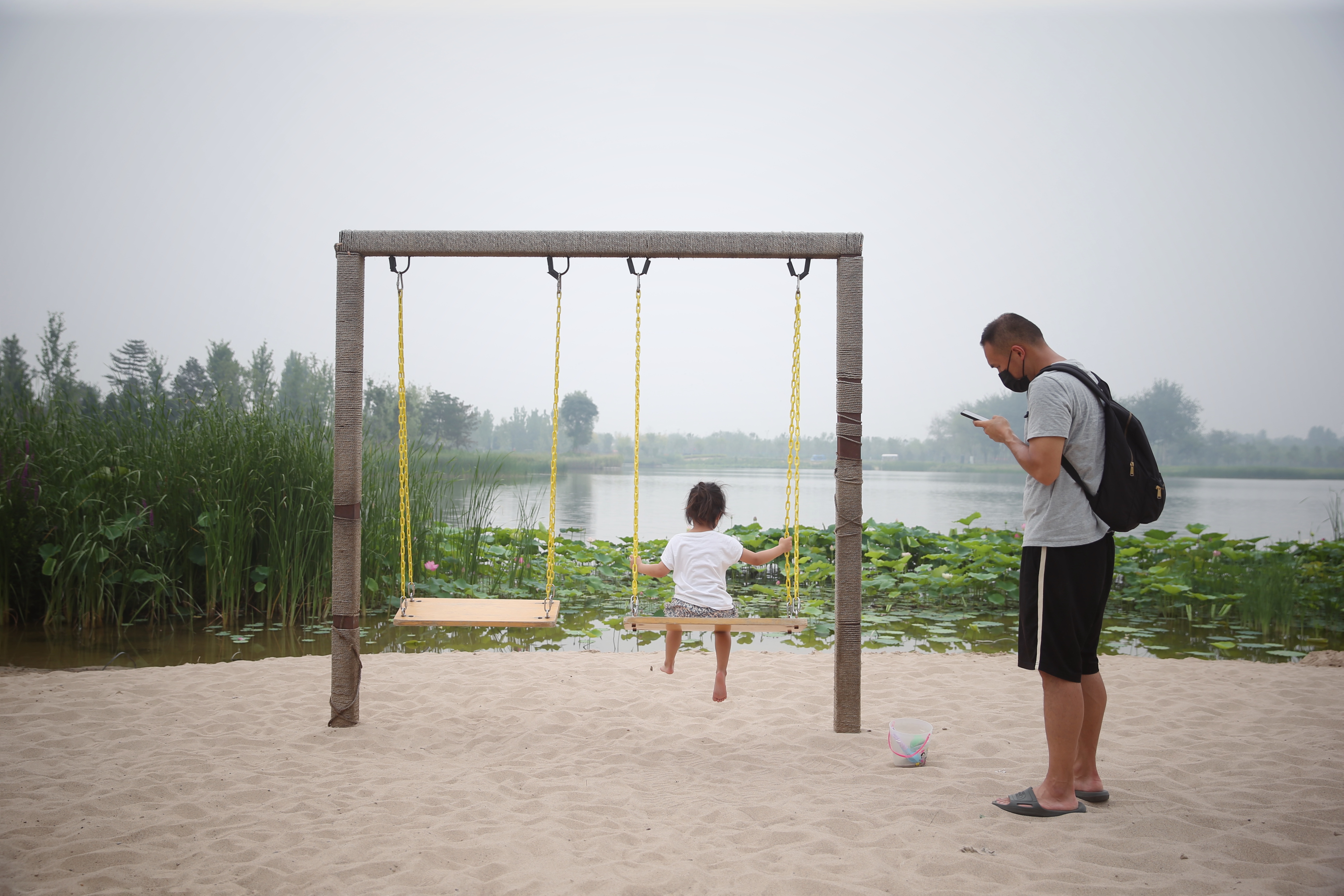 新一轮百万亩造林收官，林海书写北京“生态答卷”(图3)