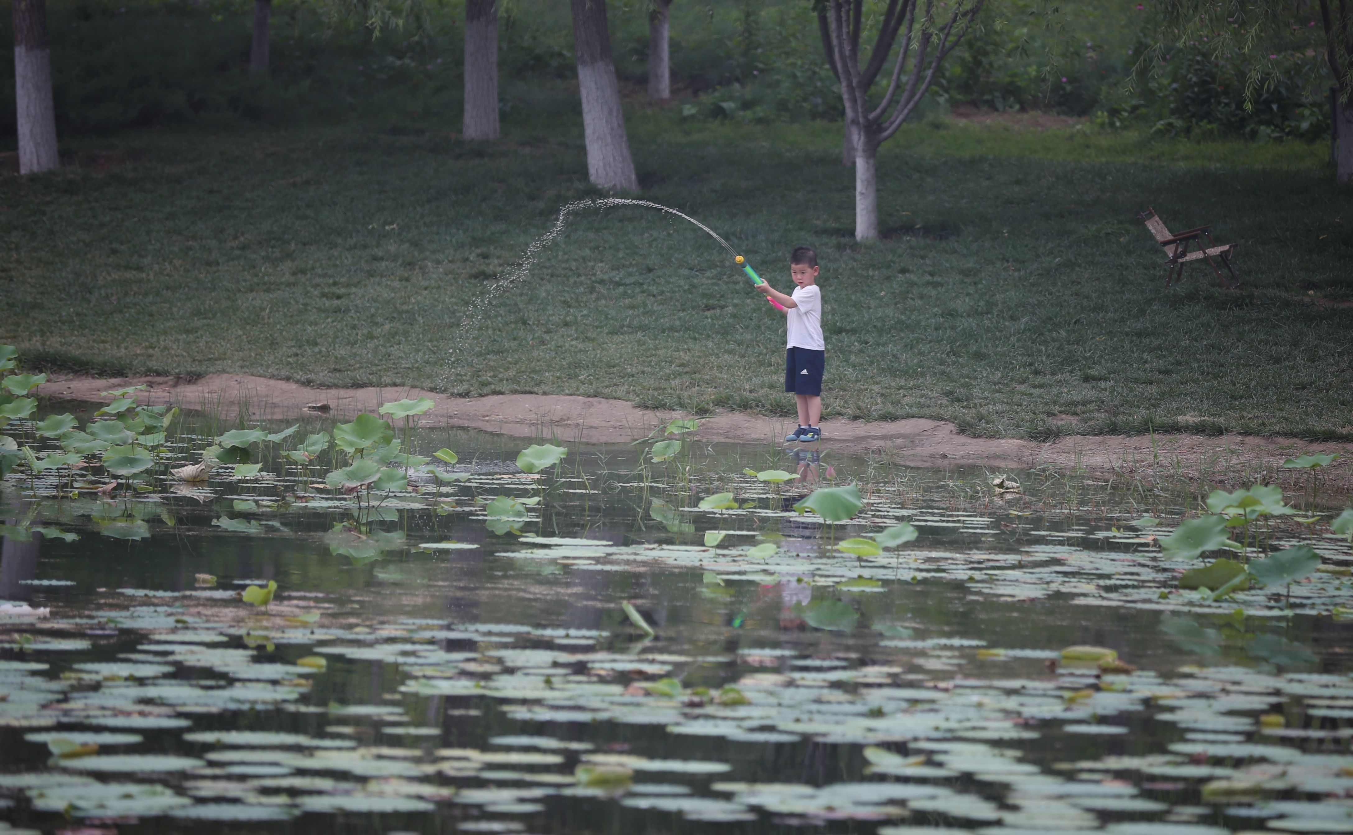 新一轮百万亩造林收官，林海书写北京“生态答卷”(图6)