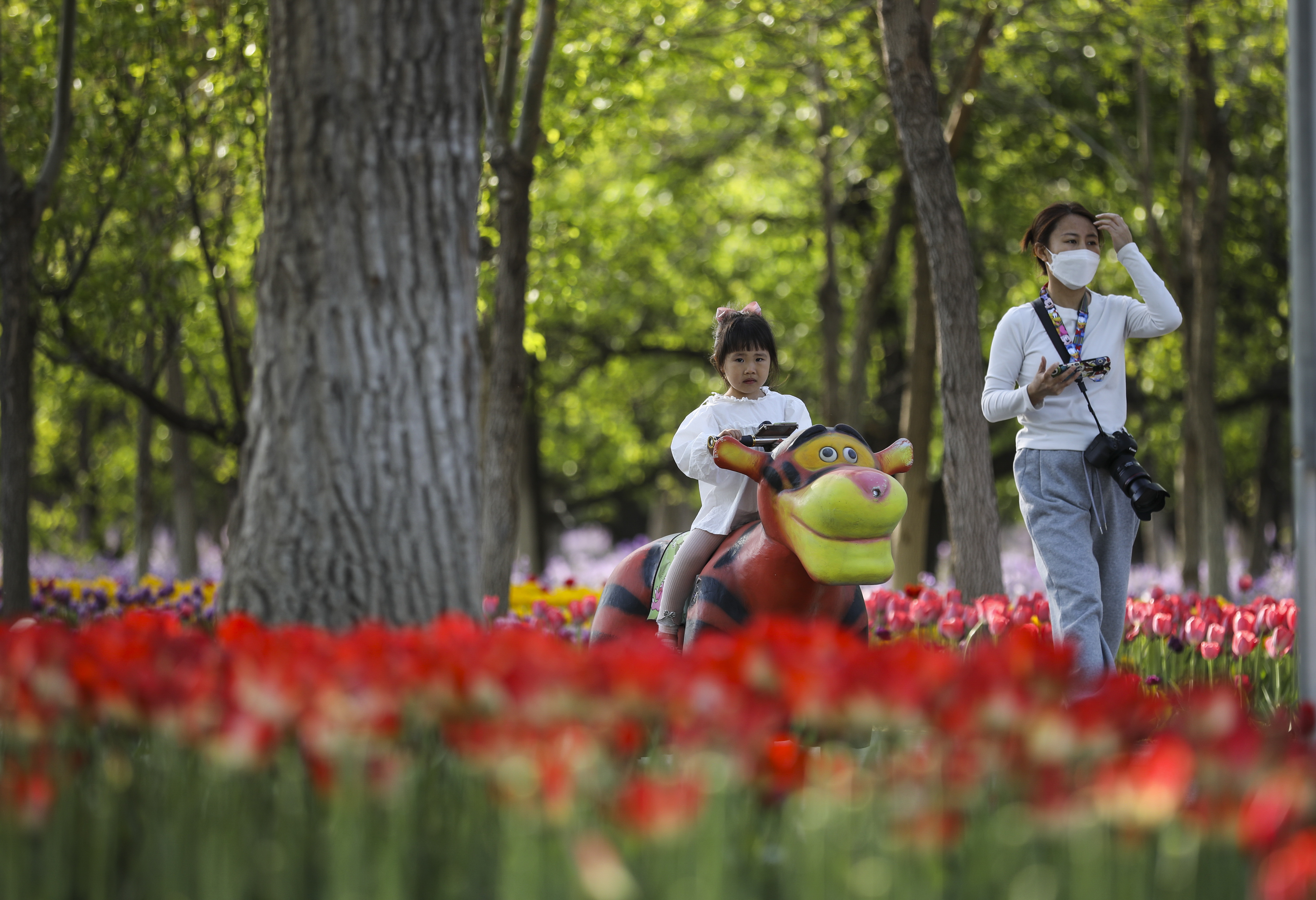 新一轮百万亩造林收官，林海书写北京“生态答卷”(图9)