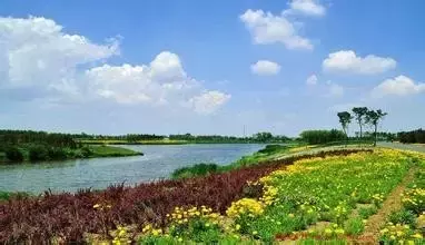 临淄确立2017年度生态建设六大重点(图2)