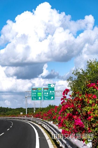 理想高速幸福黎乡——写在海南省儋白高速公路通车之际(图9)
