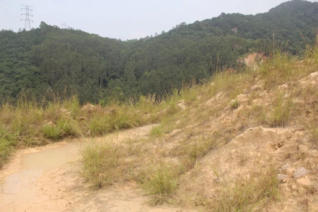 公益诉讼丨南安检察推动解决乌石山淤泥池地质隐患(图2)