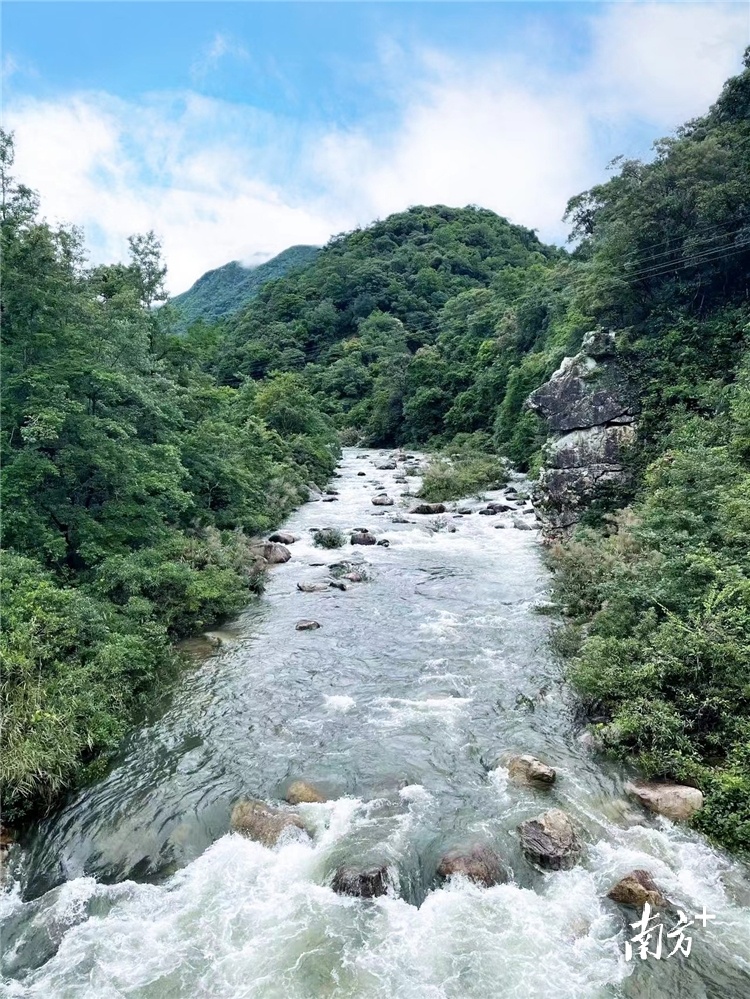 这项工作，小三江镇名列连山第一(图3)