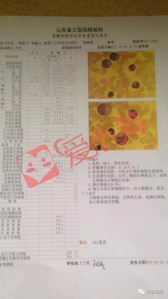 孩子!不要离开我们都在努力你怎能放弃(图1) 孩子!不要离开我们都在努力你怎能放弃(图1)