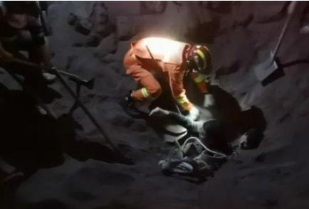 紧急！灵璧俩男子因施工身陷搅拌站沙堆！一人意识模糊奄奄一息！(图1)