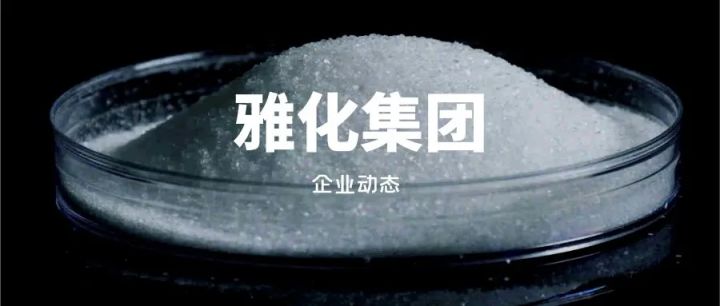 雅化集团是一家什么样的公司？(图1)
