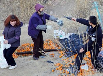 05式警用转轮手枪威力世界最低装弹还少(图8)
