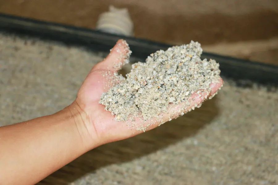 严把质量关,宽广企业路——瑞弘建材洗砂生产线纪实(图9) 严把质量关,宽广企业路——瑞弘建材洗砂生产线纪实(图9)