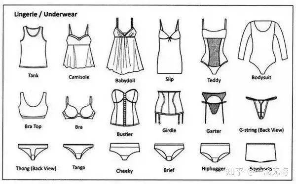 ​各类服装款式英文图解，时尚圈都这么说~(图11)