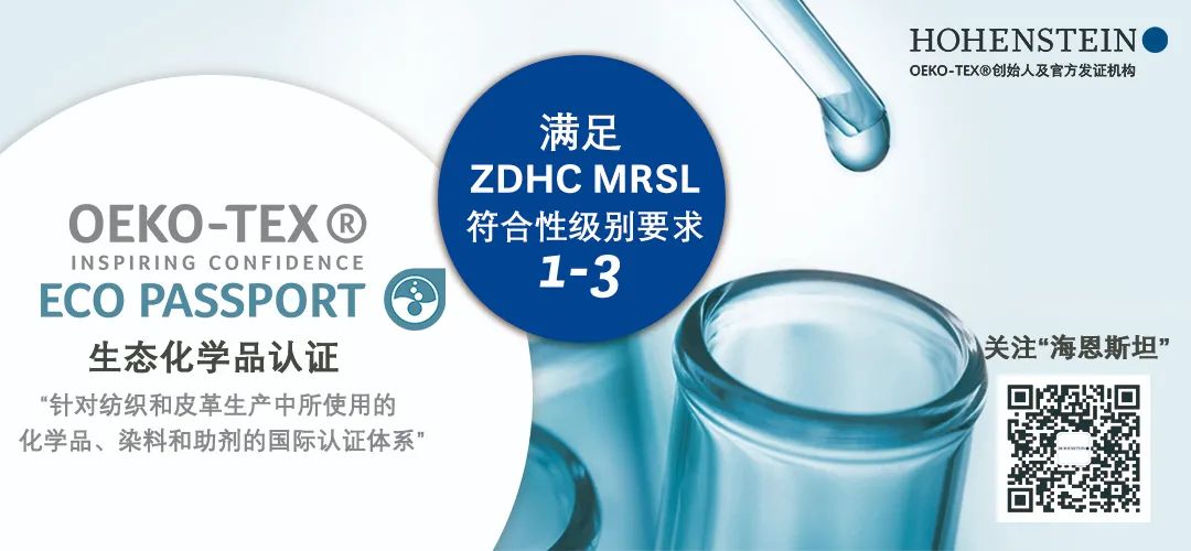 2021：莱赛尔元年(图6)