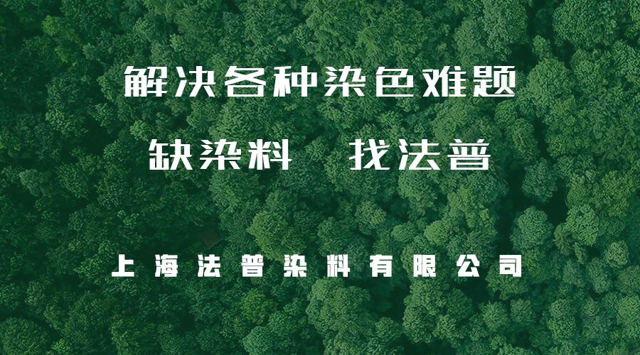2021：莱赛尔元年(图10)