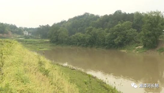 【扫黑除恶】湘乡市“利剑行动”出重拳！取缔124处非法采洗砂场(附视频)(图4)