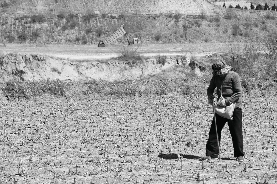 直击甘肃榆中宛川河砂石料开采乱象宛川河道采砂场整顿如旧为哪般(图3)