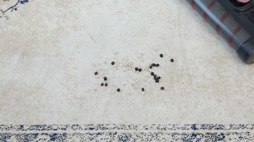 洗地机品牌哪个好？(图15)