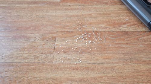 洗地机哪个品牌好？求推荐国产性价比高的品牌？(图7)