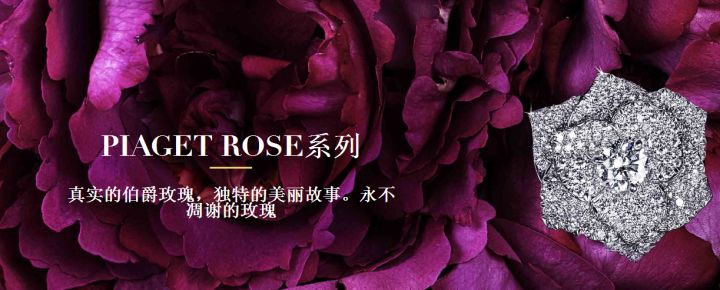 伯爵Piaget品牌简介(图7)