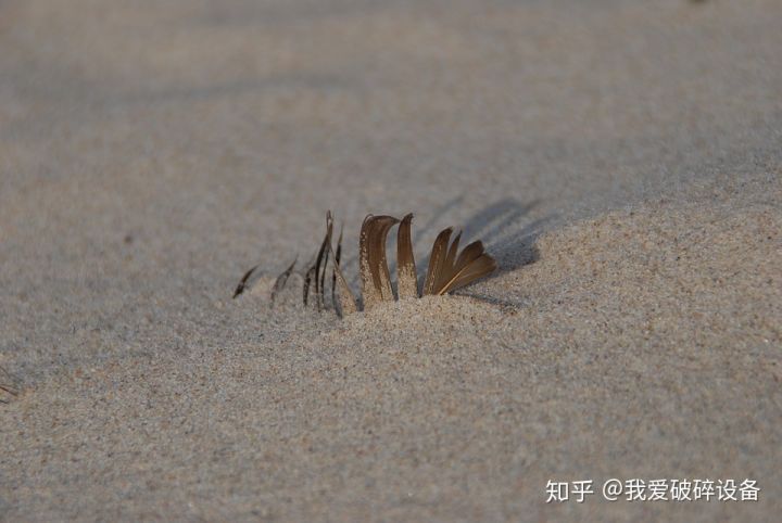 真厉害！石灰石作机制砂中有这么多优势啊(图1)