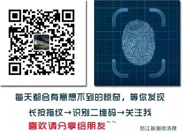 微说洛隆丨政协洛隆县委员会深入马利镇布许虫草采集点视察(图20)