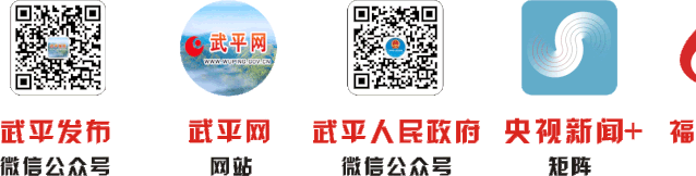 零容忍！武平依法取缔9处非法洗砂场~直击现场——(图16)