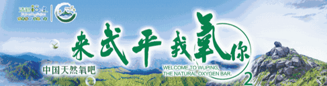 零容忍！武平依法取缔9处非法洗砂场~直击现场——(图15)