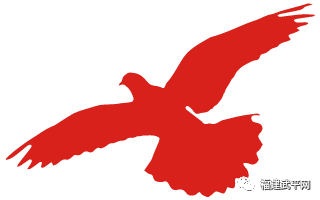 零容忍！武平依法取缔9处非法洗砂场~直击现场——(图21)