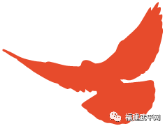 零容忍！武平依法取缔9处非法洗砂场~直击现场——(图19)