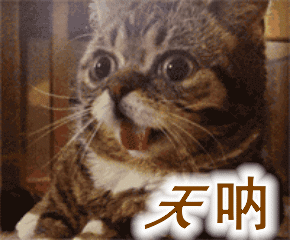 藏不住了！这个项目拿了个大奖，秘密武器是……(图3)