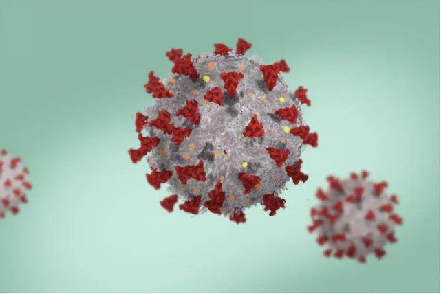 美国、法国噩耗震动国际，疫情或远比想象中可怕，关乎全人类命运(图1)