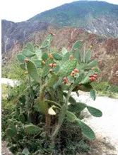 4000公里，遇见“慢生活”的美好(图30)