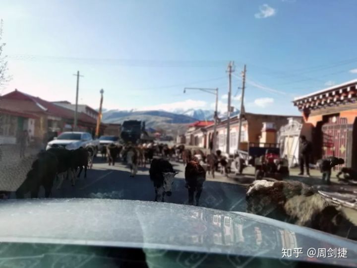 4000公里，遇见“慢生活”的美好(图72)