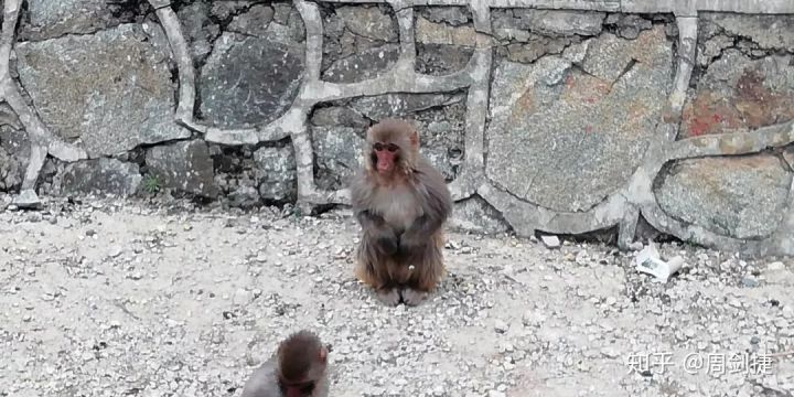 4000公里，遇见“慢生活”的美好(图74)