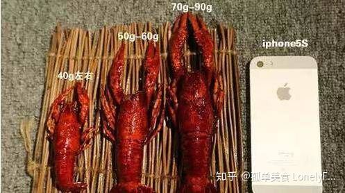 小龙虾价格飞涨，吃货哭着也要吃！(图16)