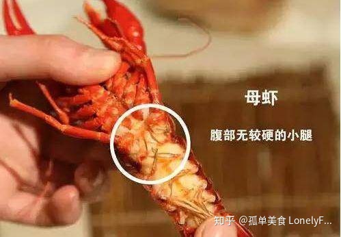 小龙虾价格飞涨，吃货哭着也要吃！(图15)