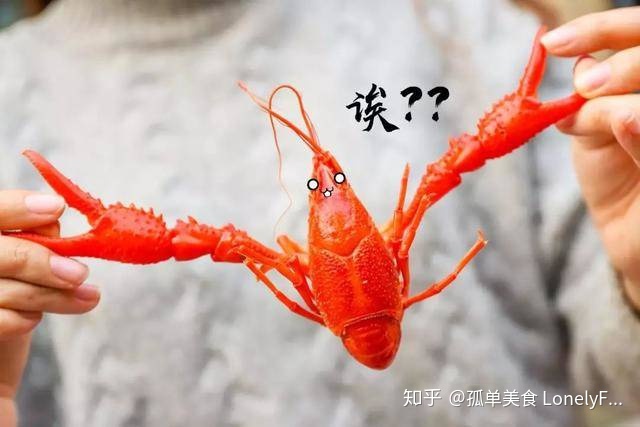 小龙虾价格飞涨，吃货哭着也要吃！(图7)