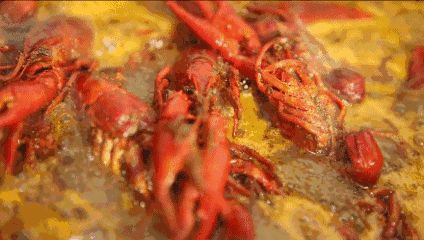 小龙虾价格飞涨，吃货哭着也要吃！(图9)